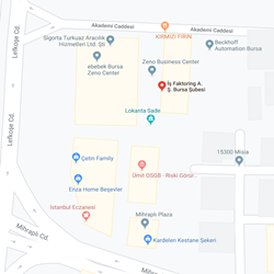 Our Branches